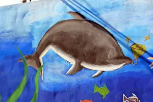 Drucke von Delfin und Fisch Delfinfisch Drucke: Zahn und Fisch