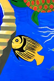Tropical Fish Photos Drucke: Fish on steps