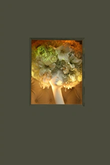 High Resolution Flower Images Drucke: Flower Lady