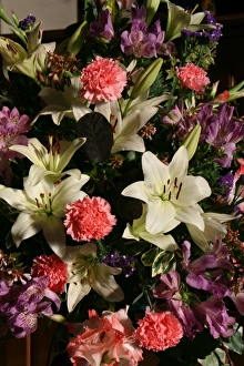 Commercial Use Images Drucke: Lilies and carnations