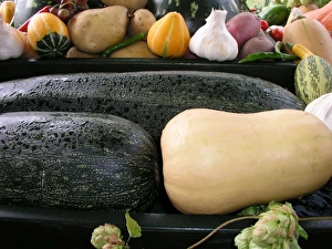 Commercial Use Photos Drucke: Mixed marrows