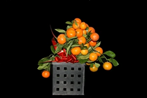 Colorful Citrus Fruits Drucke: Oranges