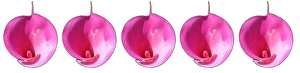 Floral Arrangements Drucke: Pink lilies