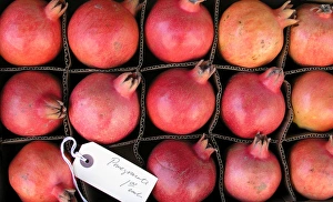 Fresh Pomegranates Drucke: Pomegranate
