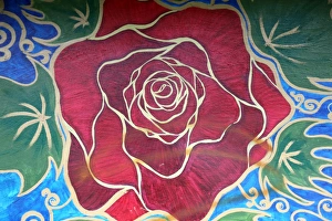 Rote Rosenblume im vollen Blütenstand