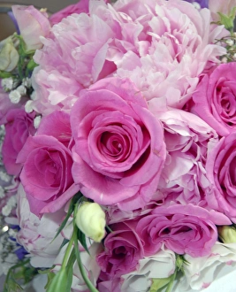 Alle Bilder Drucke: Blumenkränze zum Hochzeit