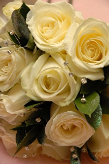 Wedding Bouquet Drucke: Wedding bouquet