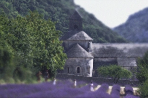 Provence Travel Guide Drucke: Abbaye de Sananque