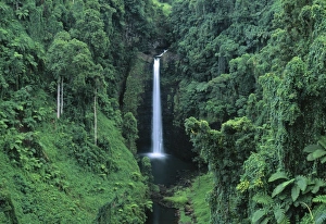 Samoa Drucke: Afuaauerfälle
