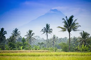 Asien Indonesien Java Jawa Yogyakarta Vulkan Merapi Berge Reisbau vor dem Berg
