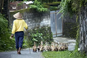 Asien Indonesien Java Jogjakarta Vogelfarmer