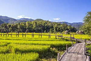 Bambusbrücke über Reisfelder in Pai im Provinz Mae Hong Son Nordthailand