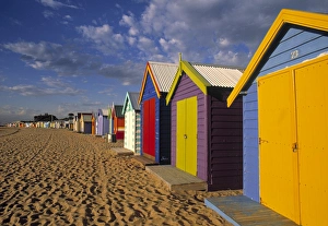 Melbourne Coastal Walks Drucke: Bathing Huts
