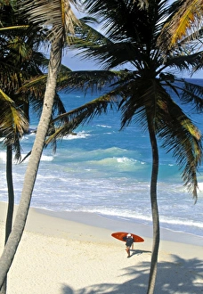 Caribbean Beaches Drucke: Bottom Bay