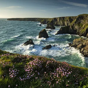 Cornish Coastline Photography Drucke: Bedruthan Steps, Cornwall, England