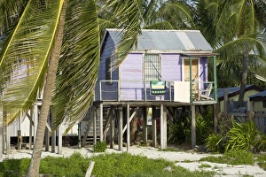 Bilder Datiert 2008 Januar: Belize, Caye Caulker