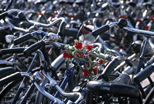 Bilder, datiert 2001: Fahrräder, Leiden