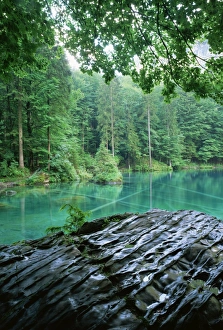 Bernese Oberland Tourism Drucke: Blausee, Kandersteg