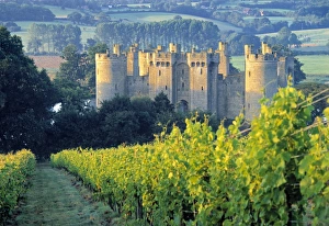 Bodiam Schloss