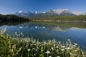 Canadian Mountain Scenery Drucke: Bow Mountain Range and Herbert Lake