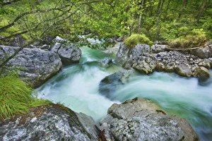 Bavaria Forest Scenery Drucke: Brook in deciduous forest - Germany, Bavaria, Upper Bavaria, Berchtesgadener Land, Ramsau