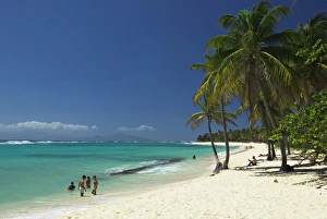 Island Hopping In The Caribbean Drucke: Capesterre