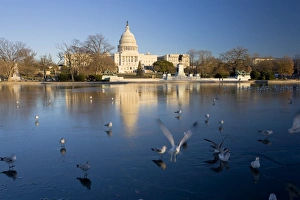 Washington DC Tourist Attractions Drucke: The Capitol