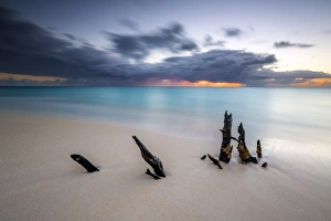 Leeward Islands Scenery Drucke: Caribbean sunset frames tree trunks on Ffryers Beach, Antigua and Barbuda, Leeward Islands