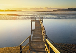 South Island Coastal Landscapes Drucke: Catlin Coast
