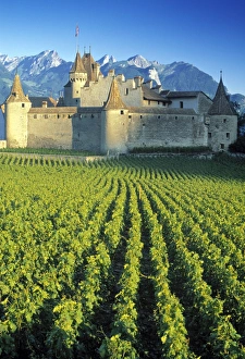 Chillon Castle Switzerland Drucke: Chillon Chateau