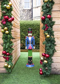 European Christmas Traditions Drucke: A Christmas nutcracker in a garden, Bath, Somerset, England