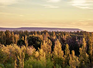 Patagonia Sunset Drucke: Chubut Valley at sunset, elevated view, Gaiman, The Welsh Settlement, Chubut Province