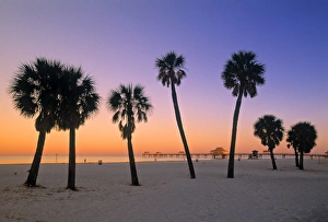 Drucke von Klar Wasser Strand, Florida (USA) Florida Drucke: Klarwasserstrand