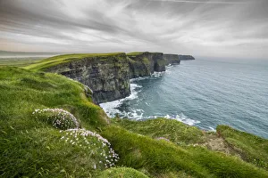 Cliffs Of Moher Ireland Drucke: Cliffs of Moher with flowers on the foreground. Liscannor, Munster, Co. Clare, Ireland