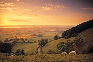 English Countryside Images Drucke: Coaley Peak