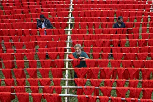 Farbvolle Faden trocknet im Sonnenlicht in Narayanganj, Bangladesch