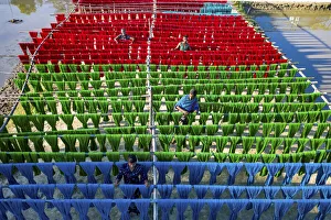Farbenfroher Faden trocknet unter Sonnenlicht in Narayanganj, Bangladesch