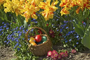 Traditional Easter Tradition Drucke: colourful easter eggs in a basket