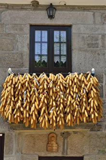 European Nature Parks Drucke: Corn presented during the festivities of Tourem. Peneda Geres National Park, Portugal