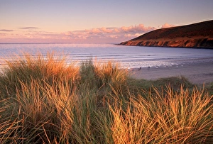 North Devon Coastline Drucke: Croyde, North Devon coast