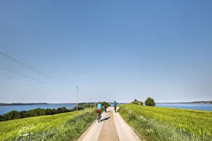 Baltic Sea Coastline Views Drucke: Cyclists, Reddevitzer Haoft, Maonchgut, RAogen Island, Mecklenburg-Western Pomerania