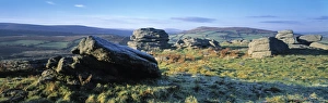 Dartmoor National Park Drucke: Dartmoor, Devon