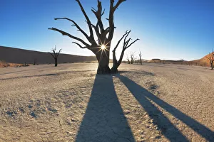Dead Vlei Landscape Drucke: Dead tree in Dead Vlei - Namibia, Hardap, Namib, Dead Vlei - Namib Naukluft National Park