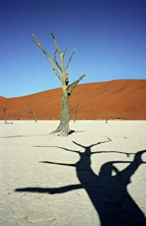 Dead Vlei Landscape Drucke: Dead Vlei