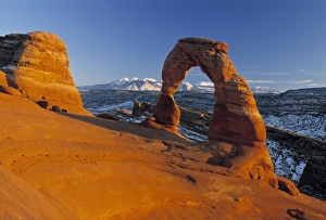 American West Scenic Views Drucke: Delicate Arch