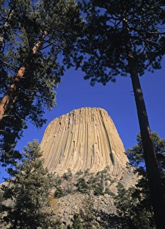Devils Tower Wyoming Drucke: Devils Tower