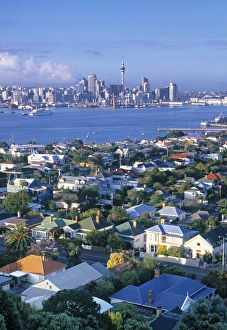 North Island New Zealand Drucke: Devonport, Auckland