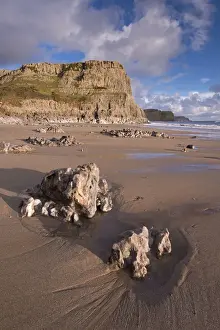 Coastal Landscape Photography UK Drucke: Dramatic cliffs and sandy beaches at Fall Bay on the Gower Peninsula, Wales, UK. Winter