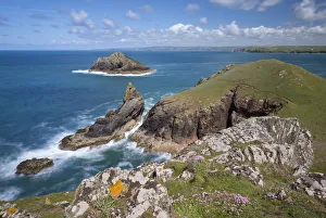 Drucke von Blickvorgarten der dramatischen Küste von Kornwall bei den Rumps nahe zu Padsow im Vereinigten Königreich Großbritannien Frühjahr (Mai) 2015 Padstow Drucke: Klassischer Kornischen Küstenabschnitt bei den Rumps nahe von Padstow im Vereinigten Königreich