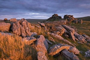 Rugged Landscape Photography Drucke: Dramatic rugged scenery on West Mill Tor, Dartmoor National Park, Devon, England
